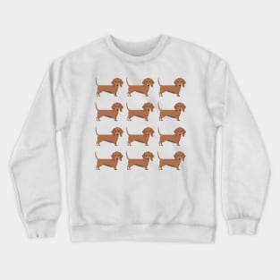 Brown Dachshund dog breed cute pattern Crewneck Sweatshirt